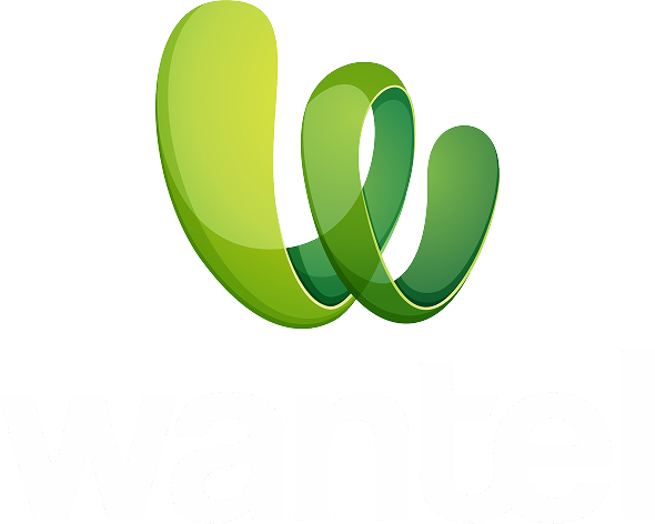 Wantel Logo